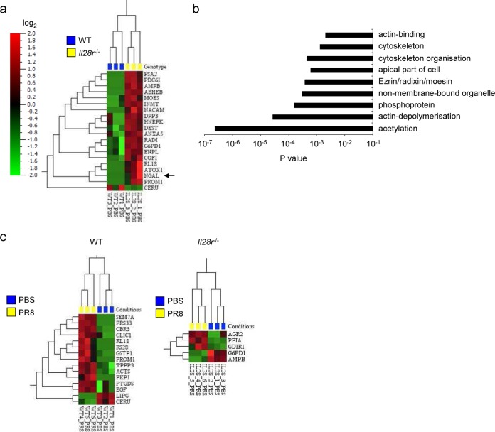 FIG 4 