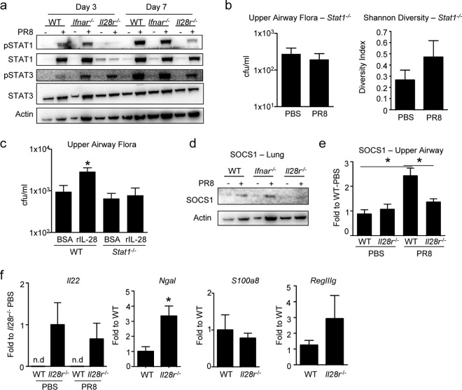 FIG 3 