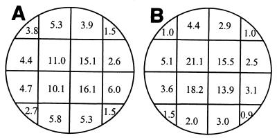 FIG. 7