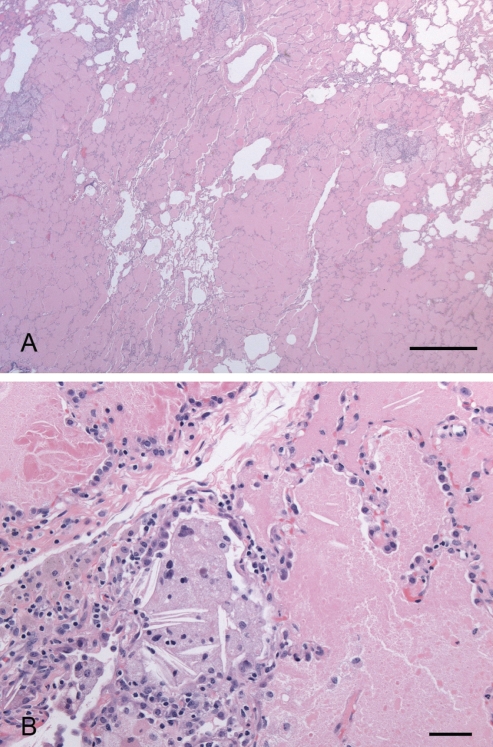 Figure 3)