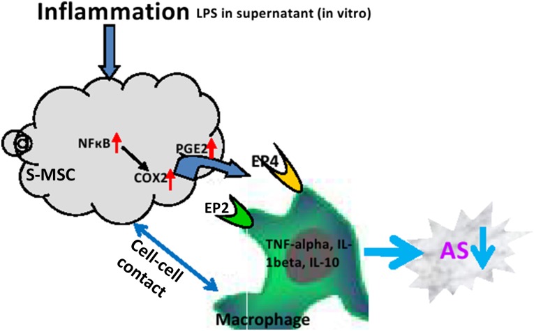 Figure 6.