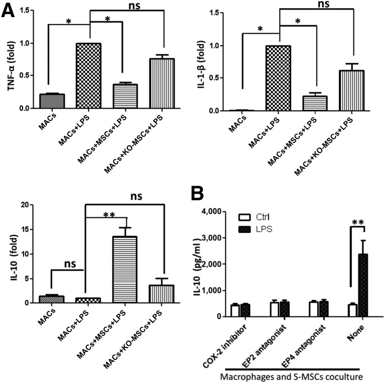 Figure 5.