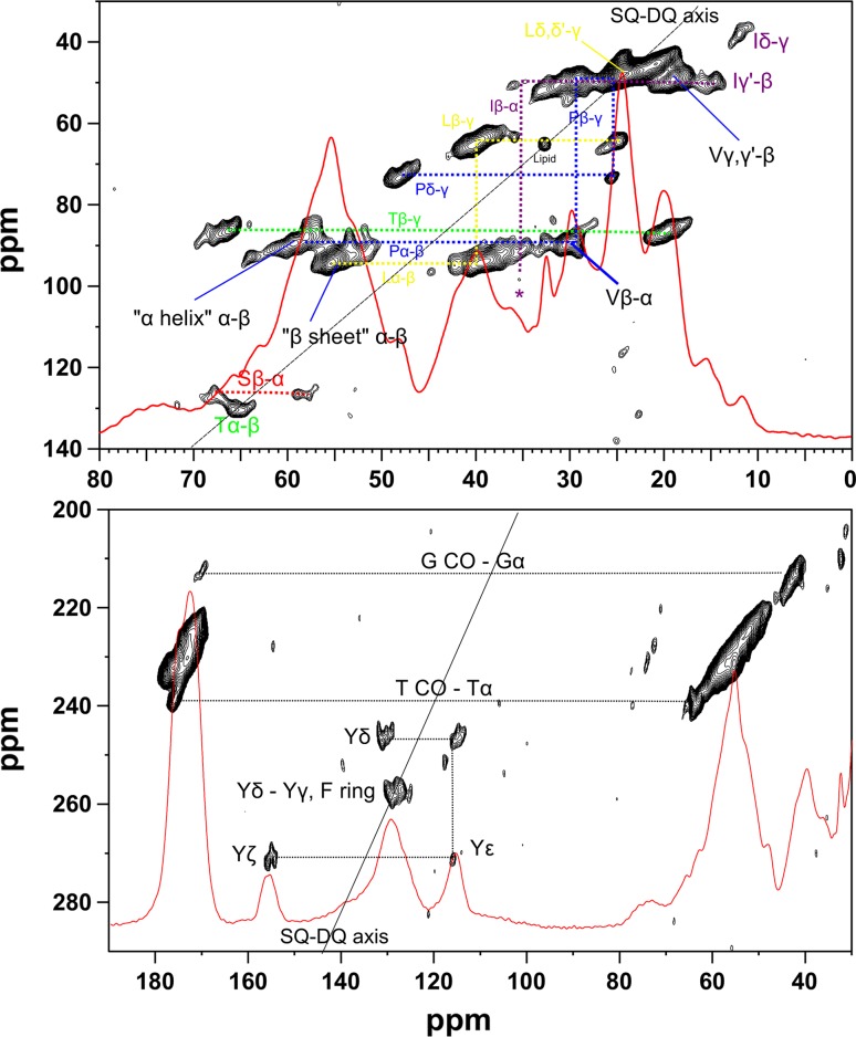 Fig. 1