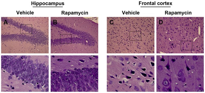 Figure 6.