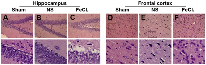 Figure 2.