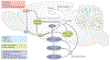Figure 1 |