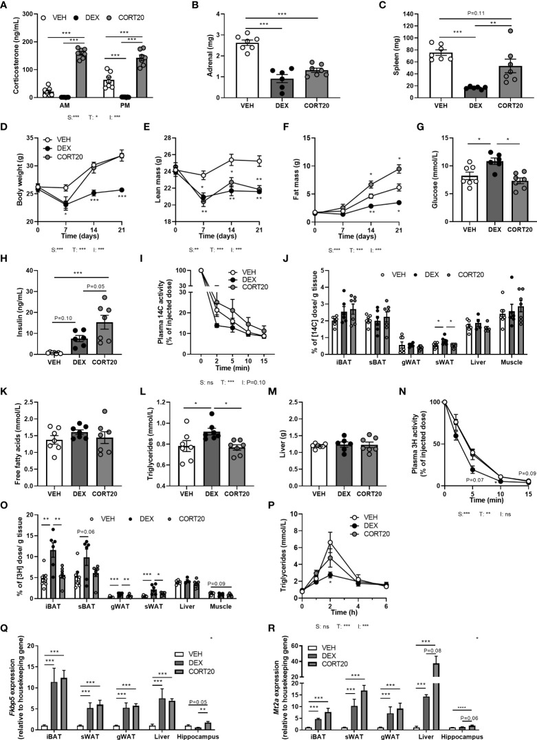 Figure 6