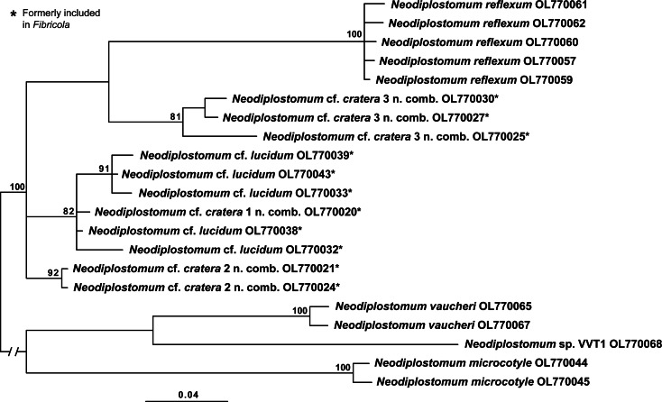 Fig. 4.