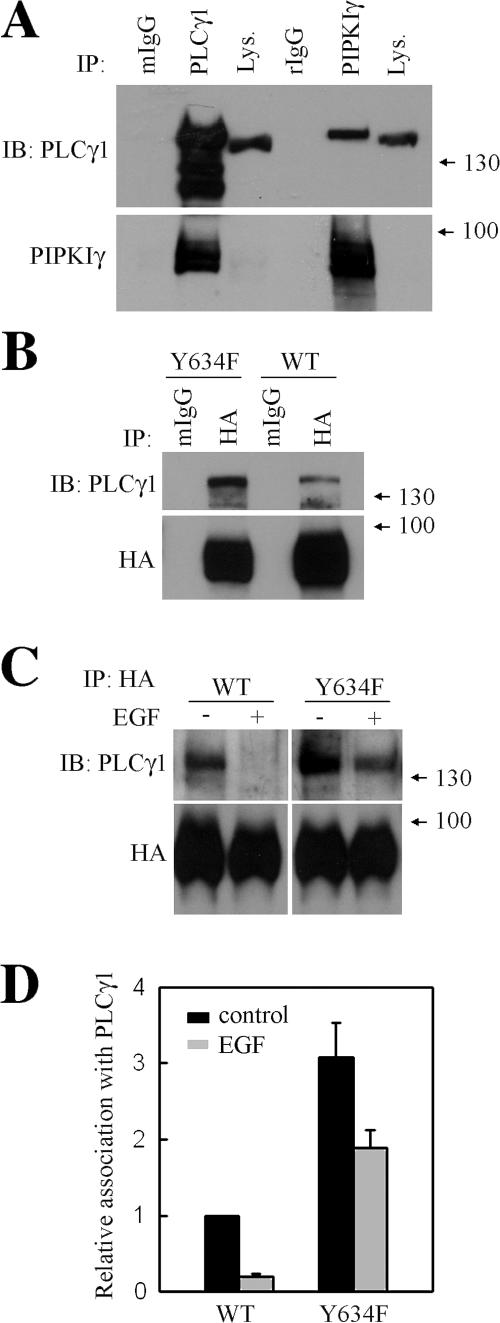 Figure 9.