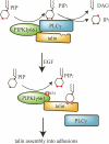 Figure 10.