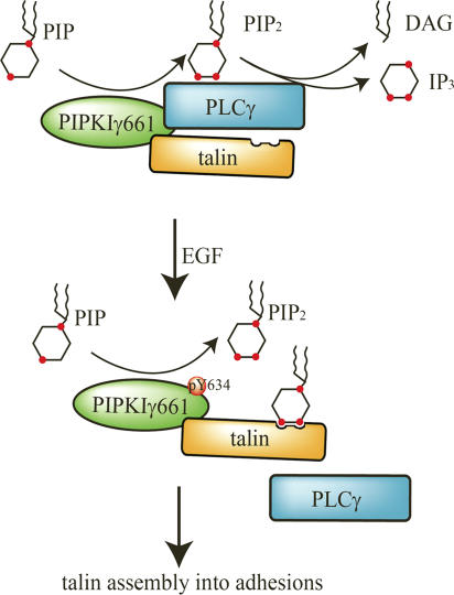 Figure 10.