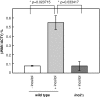 <b>FIG. 1.</b>