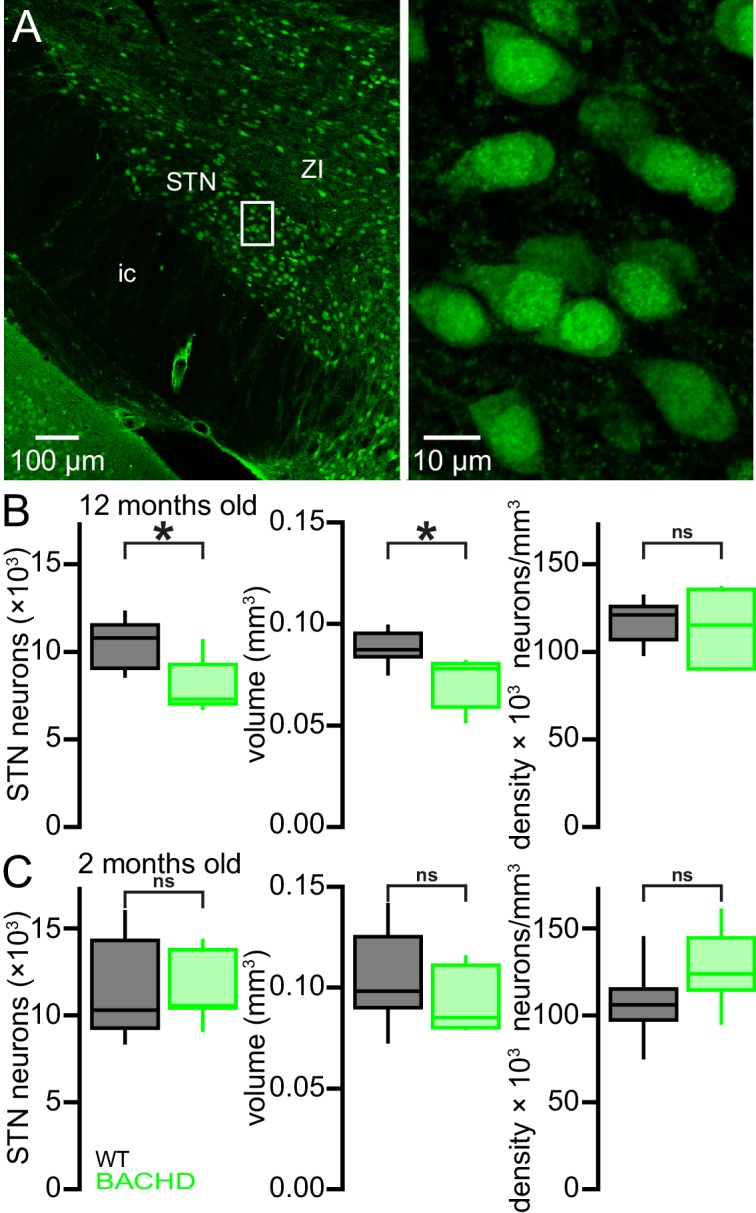 Figure 11.