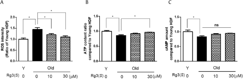 Fig. 3