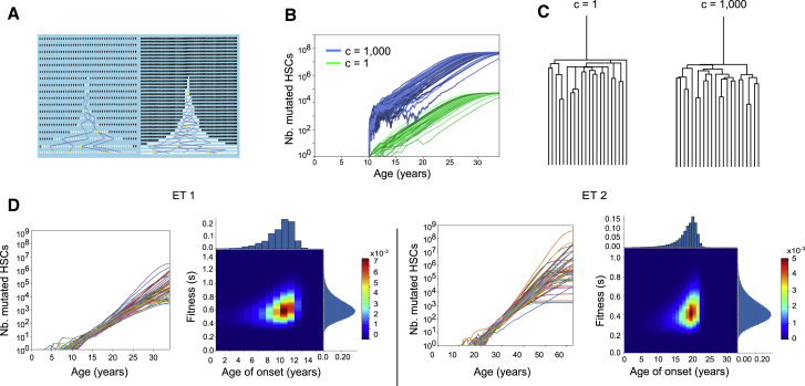 Figure 4