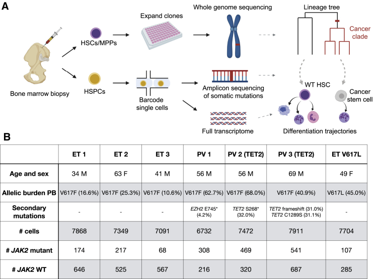 Figure 1