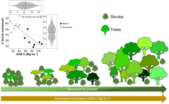 Figure 6