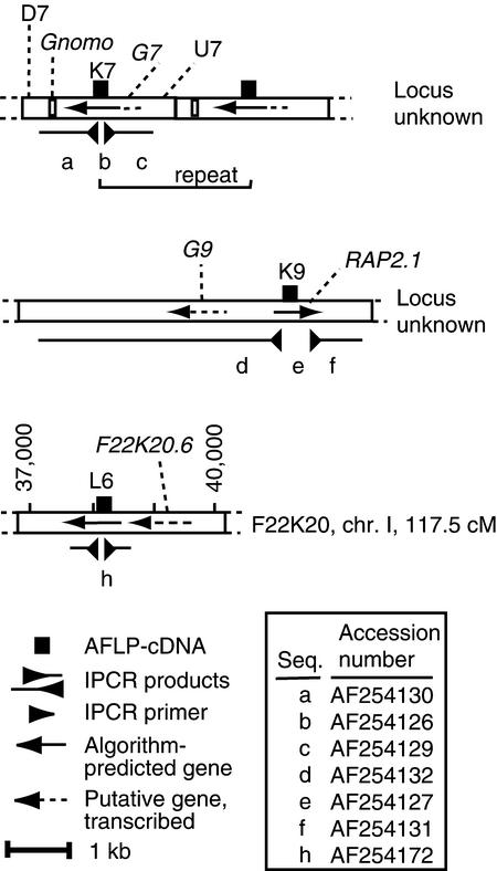 Figure 7.