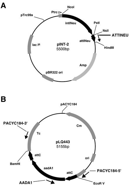 FIG. 2.