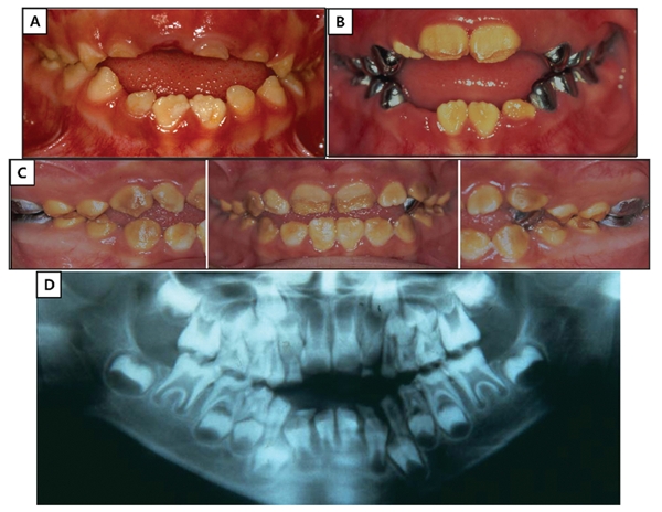 Figure 2.