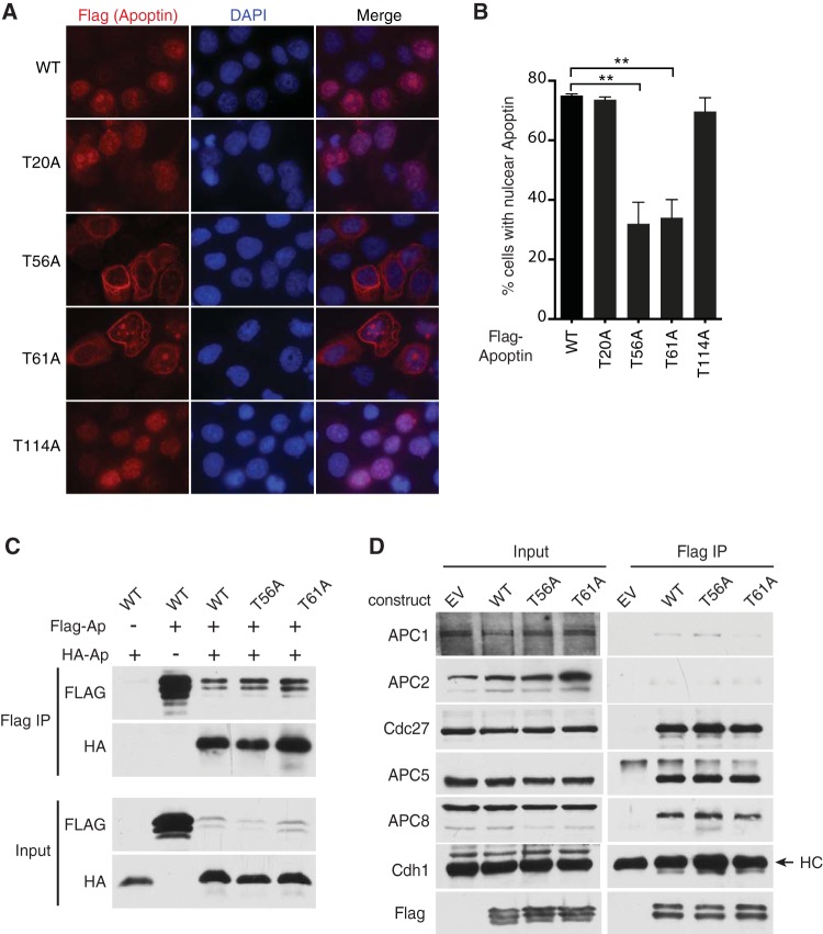 FIG 6