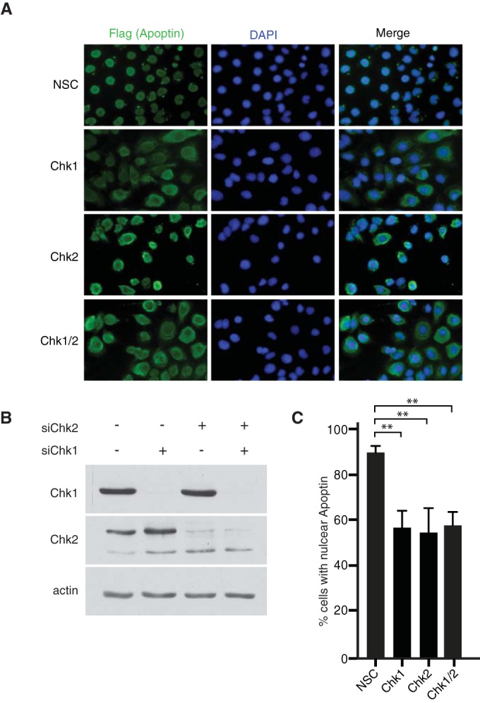 FIG 4