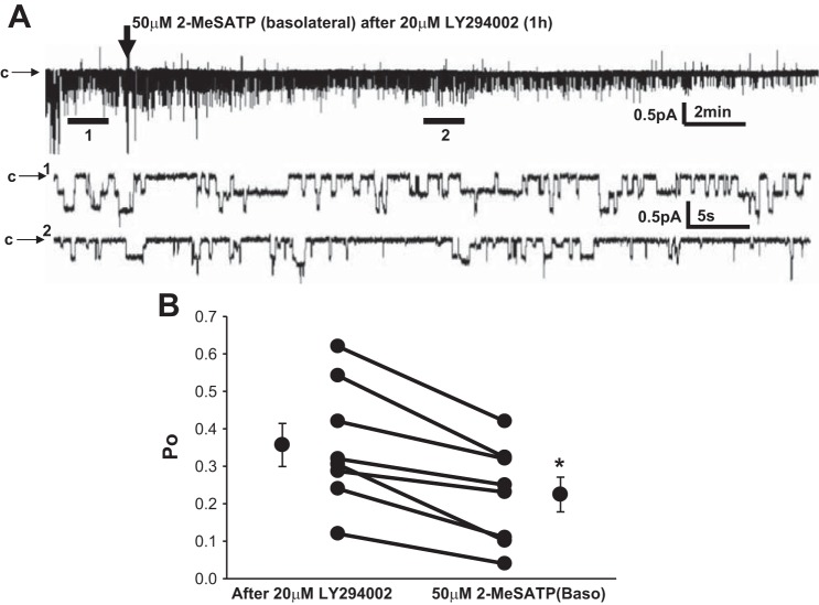 Fig. 6.