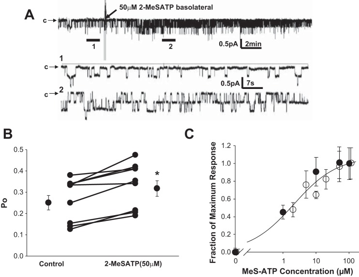 Fig. 3.