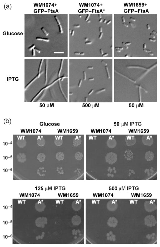 Fig. 5