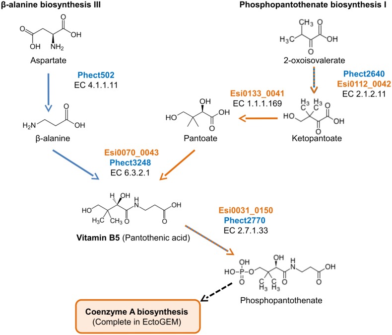 Fig 7