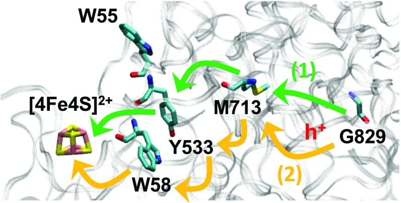 Fig. 4.