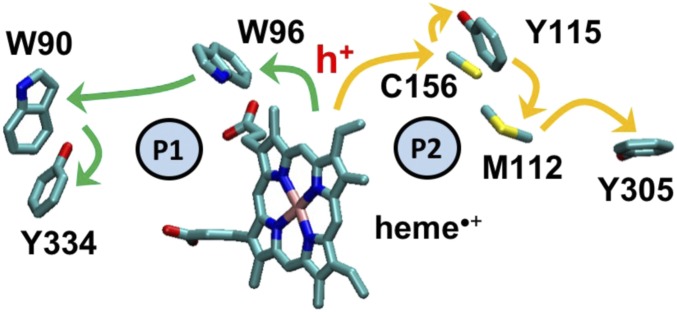 Fig. 2.