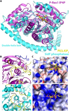 Fig. 3