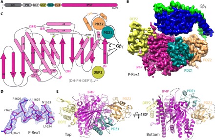 Fig. 1