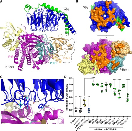 Fig. 4