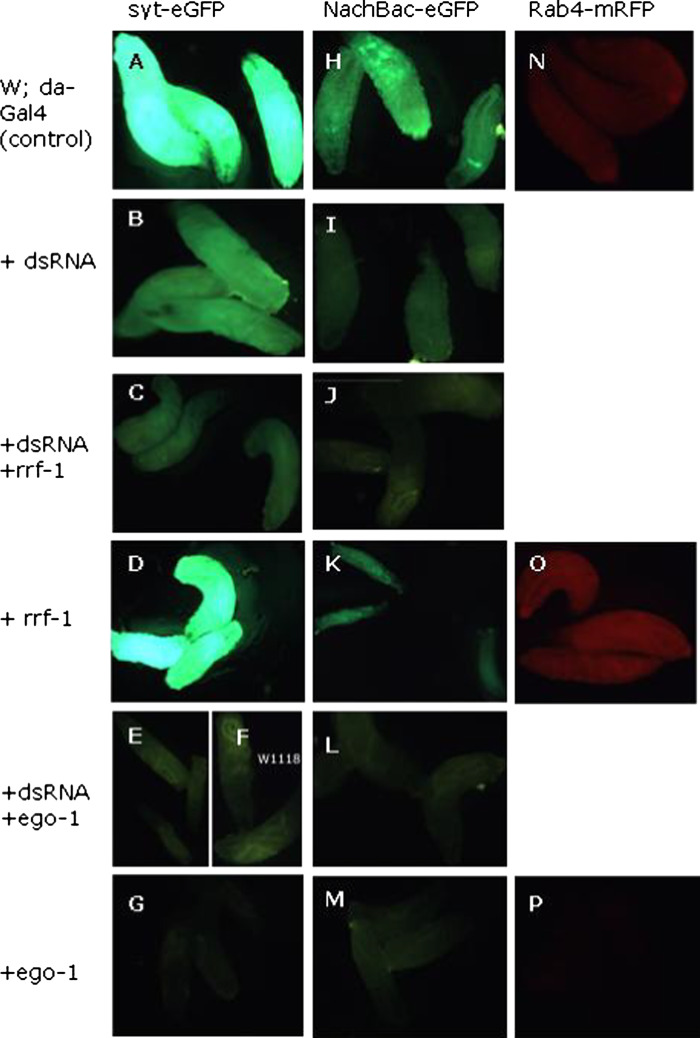 Fig. 2