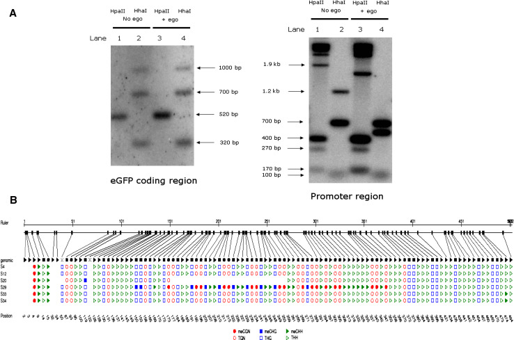 Fig. 6