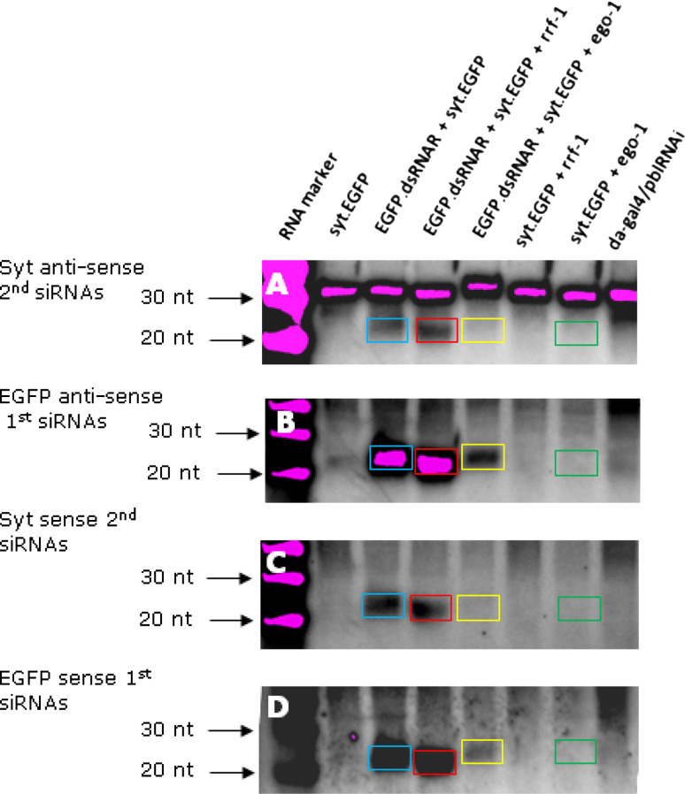 Fig. 4