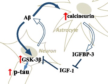 Fig. 8