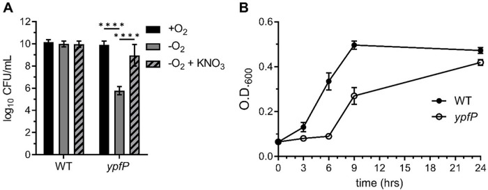 FIG 2