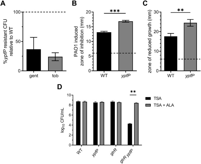 FIG 1