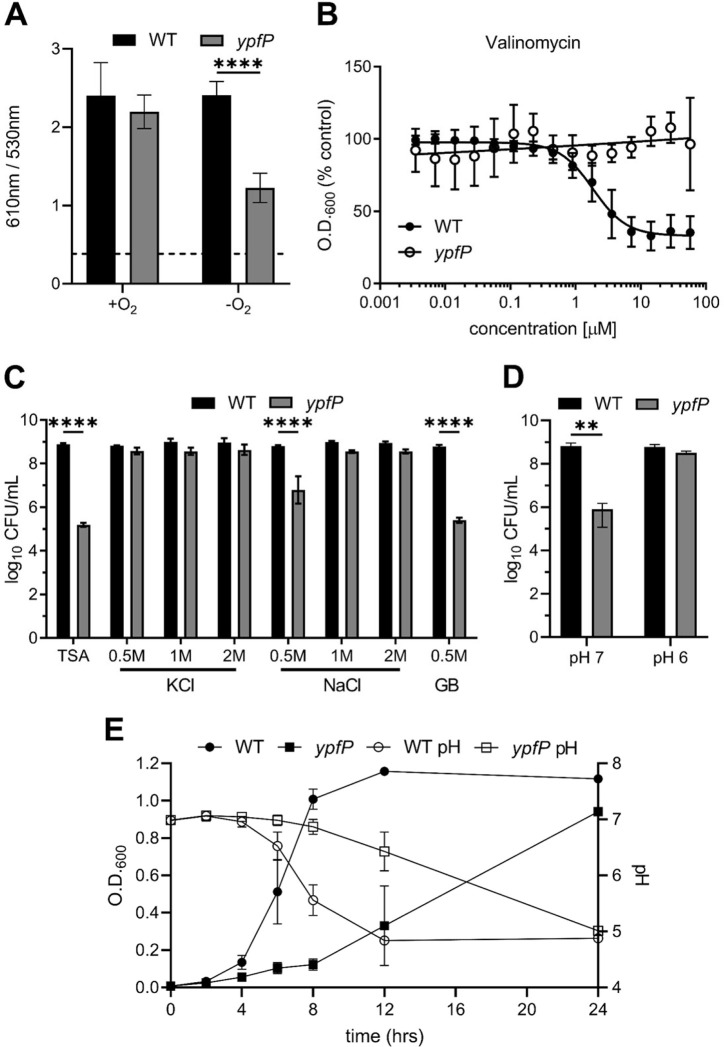 FIG 4