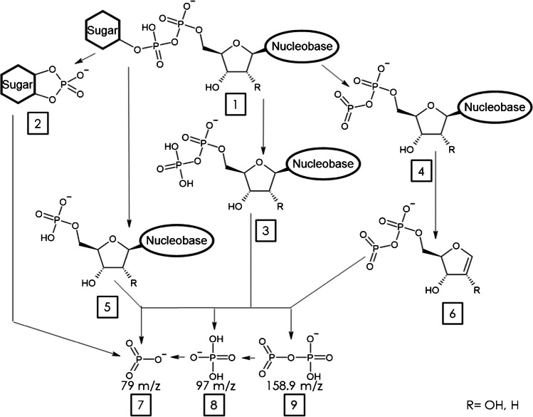 Fig. 1