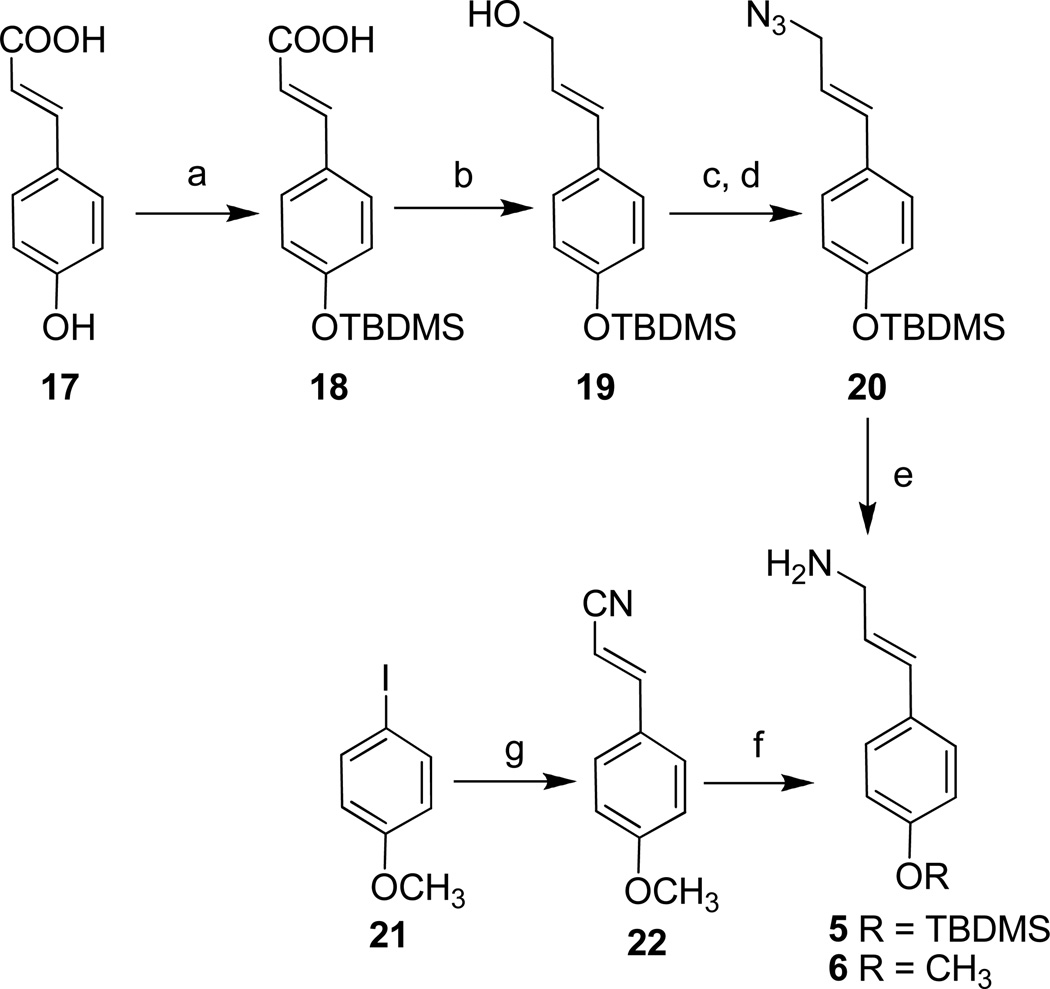 Scheme 3