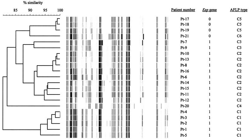 FIG. 1.