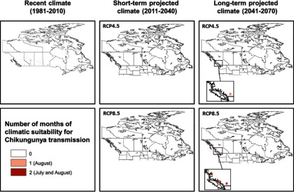 Five maps indicating recent climate (1981–2010), short-term projected climate (2011–2040) for RCP4.5 and RCP8.5, and long-term projected climate (2041–2070) for RCP4.5 and RCP8.5. The number of months of climatic suitability for Chikungunya transmission are 0, 1 (August), and 2 (July and August).