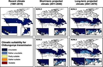 Five maps indicating recent climate (1981–2010), short-term projected climate (2011–2040) for RCP4.5 and RCP8.5, and long-term projected climate (2041–2070) for RCP4.5 and RCP8.5. The risk categories for climatic suitability for Chikungunya transmission are unsuitable, rather unsuitable, partly suitable, rather suitable, and suitable.