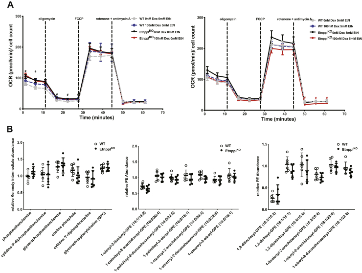 Figure 5