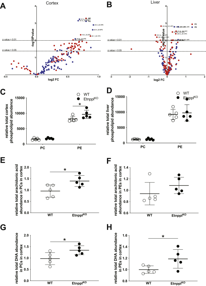 Figure 6