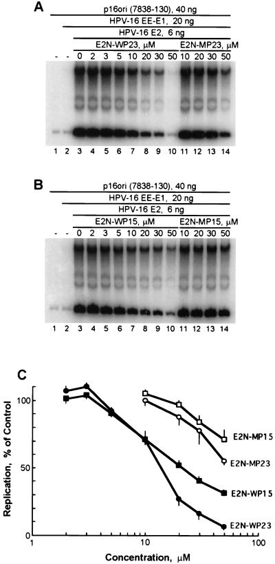 FIG. 5